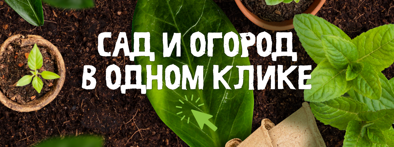 Сад и огород